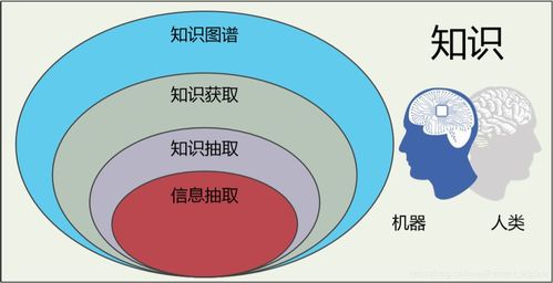 信息抽取在知識圖譜構建中的實踐與應用